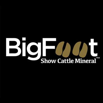 BigFoot Show Cattle Mineral